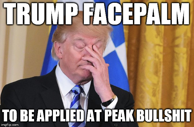 Trump peak bullshit facepalm | TRUMP FACEPALM; TO BE APPLIED AT PEAK BULLSHIT | image tagged in trump facepalm bullshit | made w/ Imgflip meme maker
