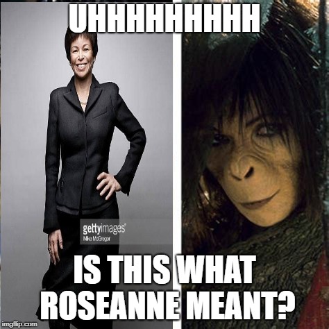 Maybe Roseanne had a point... | UHHHHHHHHH; IS THIS WHAT ROSEANNE MEANT? | image tagged in roseanne,planet of the apes | made w/ Imgflip meme maker