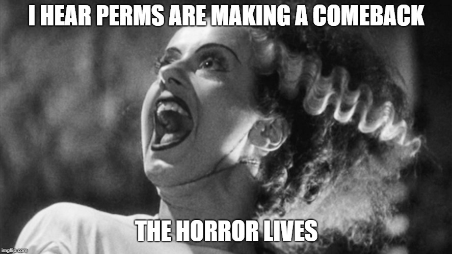I HEAR PERMS ARE MAKING A COMEBACK; THE HORROR LIVES | image tagged in frankenstein,horror,horror movie | made w/ Imgflip meme maker