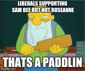 Thats a Paddlin | LIBERALS SUPPORTING SAM BEE BUT NOT ROSEANNE; THATS A PADDLIN | image tagged in thats a paddlin | made w/ Imgflip meme maker