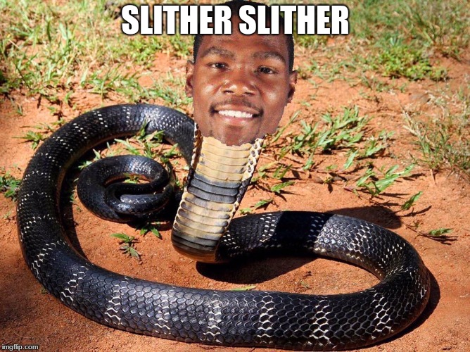 SLITHER SLITHER | image tagged in first world problems | made w/ Imgflip meme maker