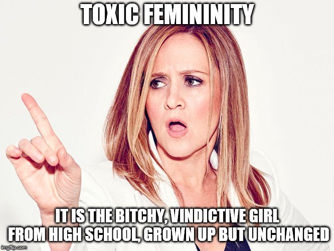 Toxic Femininity | TOXIC FEMININITY; IT IS THE BITCHY, VINDICTIVE GIRL FROM HIGH SCHOOL, GROWN UP BUT UNCHANGED | image tagged in samantha bee,cunt,bitch,mean girl,toxic | made w/ Imgflip meme maker
