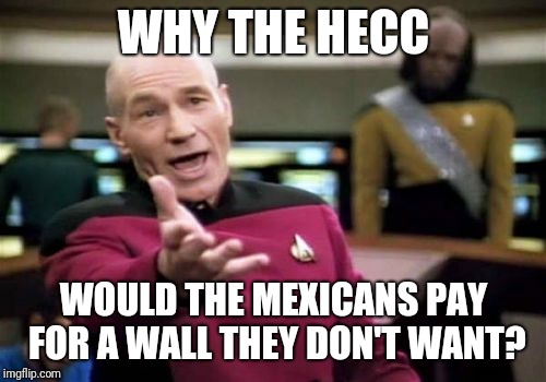 Picard Wtf Meme | WHY THE HECC WOULD THE MEXICANS PAY FOR A WALL THEY DON'T WANT? | image tagged in memes,picard wtf | made w/ Imgflip meme maker