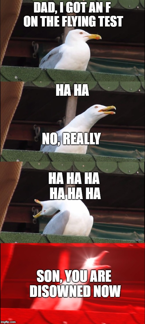 Inhaling Seagull Meme | DAD, I GOT AN F ON THE FLYING TEST; HA HA; NO, REALLY; HA HA HA HA HA HA; SON, YOU ARE DISOWNED NOW | image tagged in memes,inhaling seagull | made w/ Imgflip meme maker