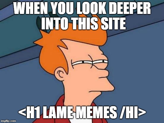 Futurama Fry Meme | WHEN YOU LOOK DEEPER INTO THIS SITE; <H1 LAME MEMES /HI> | image tagged in memes,futurama fry | made w/ Imgflip meme maker