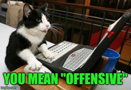 Fact Cat | YOU MEAN "OFFENSIVE" | image tagged in fact cat | made w/ Imgflip meme maker