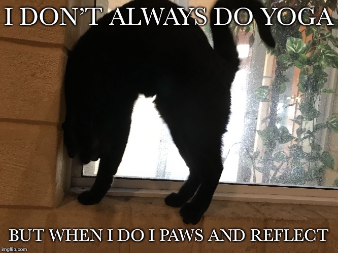 Yoga Kitty | I DON’T ALWAYS DO YOGA; BUT WHEN I DO I PAWS AND REFLECT | image tagged in yoga kitty,kitty,cats,yoga | made w/ Imgflip meme maker