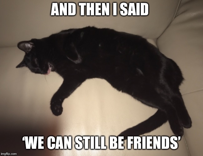 Friends  | AND THEN I SAID; ‘WE CAN STILL BE FRIENDS’ | image tagged in friends,relationships,cats,funny cats | made w/ Imgflip meme maker