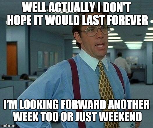 That Would Be Great Meme | WELL ACTUALLY I DON'T HOPE IT WOULD LAST FOREVER I'M LOOKING FORWARD ANOTHER WEEK TOO OR JUST WEEKEND | image tagged in memes,that would be great | made w/ Imgflip meme maker