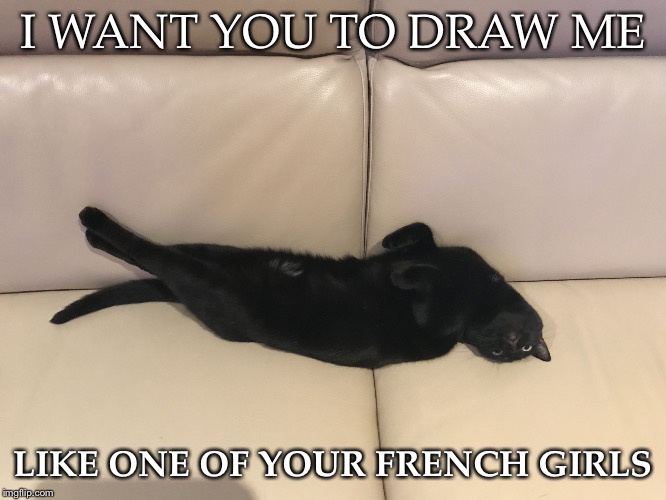 French Kitty |  I WANT YOU TO DRAW ME; LIKE ONE OF YOUR FRENCH GIRLS | image tagged in lady,draw me like one of your french girls,cats,funny cats,slinky | made w/ Imgflip meme maker