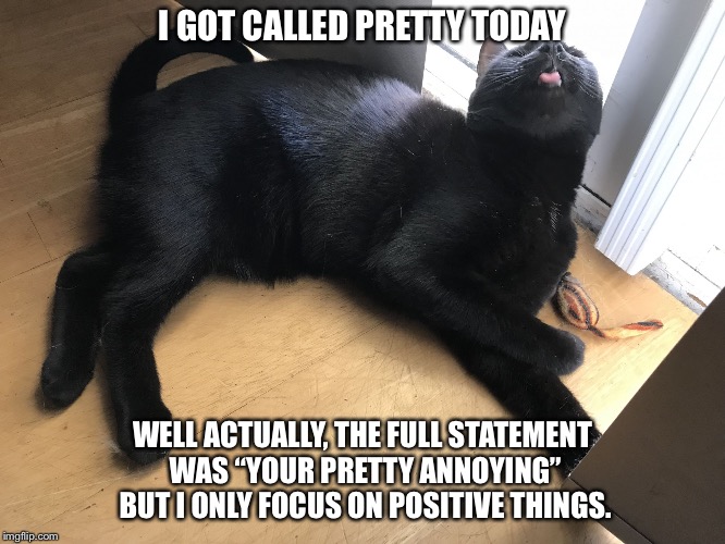 Pretty Annoying  | I GOT CALLED PRETTY TODAY; WELL ACTUALLY, THE FULL STATEMENT WAS “YOUR PRETTY ANNOYING” BUT I ONLY FOCUS ON POSITIVE THINGS. | image tagged in pretty,annoying,cute cat | made w/ Imgflip meme maker