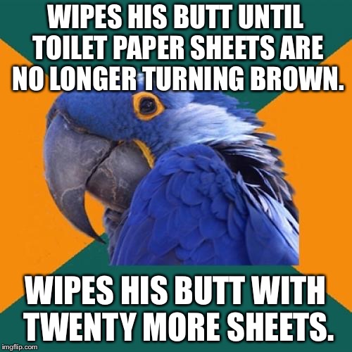 Paper paper paper paper paper paper wipe | WIPES HIS BUTT UNTIL TOILET PAPER SHEETS ARE NO LONGER TURNING BROWN. WIPES HIS BUTT WITH TWENTY MORE SHEETS. | image tagged in memes,paranoid parrot,toilet humor,paper,ocd,wipe | made w/ Imgflip meme maker