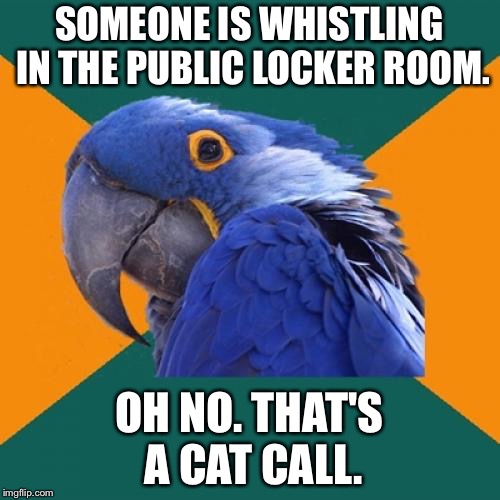 Whistling in the locker room | SOMEONE IS WHISTLING IN THE PUBLIC LOCKER ROOM. OH NO. THAT'S A CAT CALL. | image tagged in memes,paranoid parrot,cat,call,sexual assault,locker room talk | made w/ Imgflip meme maker