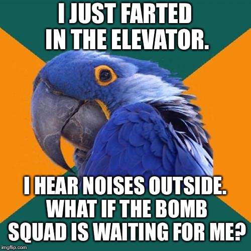 Do not fart in the elevator | I JUST FARTED IN THE ELEVATOR. I HEAR NOISES OUTSIDE. WHAT IF THE BOMB SQUAD IS WAITING FOR ME? | image tagged in memes,paranoid parrot,bomb,fart jokes,elevator,police | made w/ Imgflip meme maker