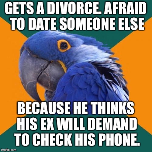 Ex is gonna check your phone | GETS A DIVORCE. AFRAID TO DATE SOMEONE ELSE; BECAUSE HE THINKS HIS EX WILL DEMAND TO CHECK HIS PHONE. | image tagged in memes,paranoid parrot,divorce,phone,stalker,check | made w/ Imgflip meme maker