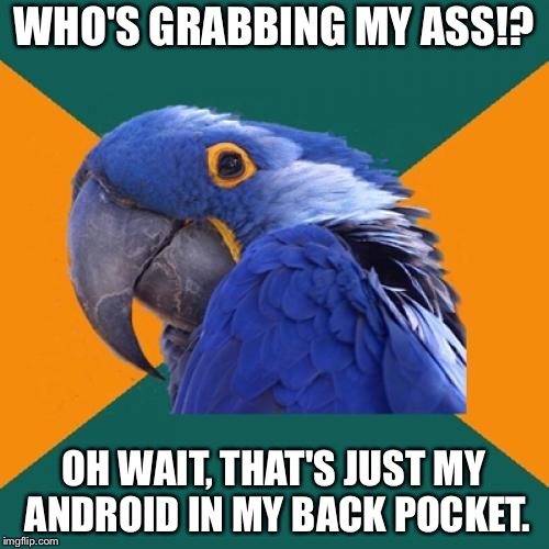 Relax it is just the phone is vibrating on your butt | WHO'S GRABBING MY ASS!? OH WAIT, THAT'S JUST MY ANDROID IN MY BACK POCKET. | image tagged in memes,paranoid parrot,phone,pants,grab,butt | made w/ Imgflip meme maker