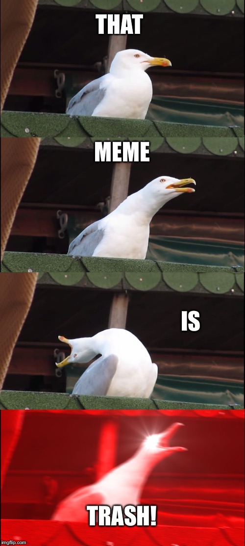 Trashhhhhhhh (not this meme because I’m using it) | THAT; MEME; IS; TRASH! | image tagged in memes,inhaling seagull | made w/ Imgflip meme maker