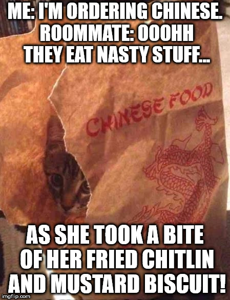 Chinese Food Not So Well Done | ME: I'M ORDERING CHINESE. ROOMMATE: OOOHH THEY EAT NASTY STUFF... AS SHE TOOK A BITE OF HER FRIED CHITLIN AND MUSTARD BISCUIT! | image tagged in chinese food not so well done | made w/ Imgflip meme maker