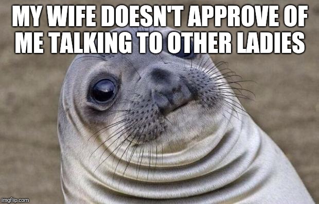Awkward Moment Sealion Meme | MY WIFE DOESN'T APPROVE OF ME TALKING TO OTHER LADIES | image tagged in memes,awkward moment sealion | made w/ Imgflip meme maker