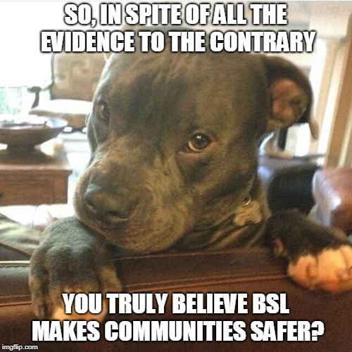 SO, IN SPITE OF ALL THE EVIDENCE TO THE CONTRARY; YOU TRULY BELIEVE BSL MAKES COMMUNITIES SAFER? | made w/ Imgflip meme maker