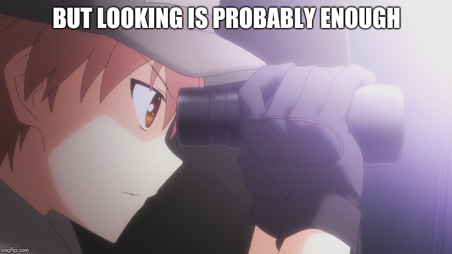binoculars guy | BUT LOOKING IS PROBABLY ENOUGH | image tagged in binoculars guy | made w/ Imgflip meme maker