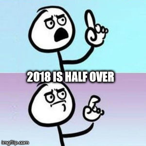 2018 | 2018 IS HALF OVER | image tagged in wait nevermind | made w/ Imgflip meme maker