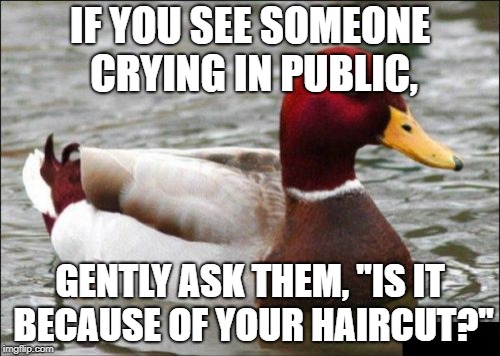 Malicious Advice Mallard | IF YOU SEE SOMEONE CRYING IN PUBLIC, GENTLY ASK THEM, ''IS IT BECAUSE OF YOUR HAIRCUT?'' | image tagged in memes,malicious advice mallard | made w/ Imgflip meme maker