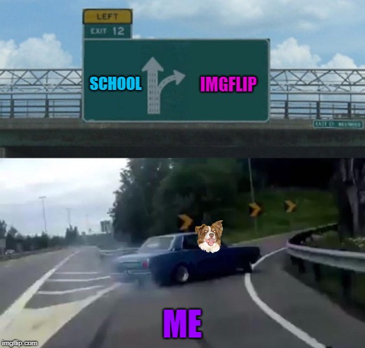 Chili the border collie in a car going to Imgflip | SCHOOL; IMGFLIP; ME | image tagged in memes,left exit 12 off ramp,cars,dogs,chili the border collie,border collie | made w/ Imgflip meme maker