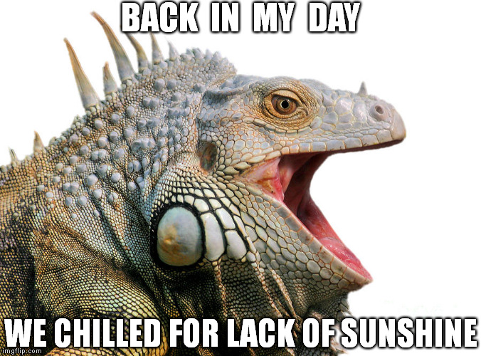 BACK  IN  MY  DAY WE CHILLED FOR LACK OF SUNSHINE | made w/ Imgflip meme maker