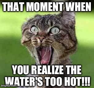 image tagged in wide-eyed cat,cats,that moment when,funny | made w/ Imgflip meme maker