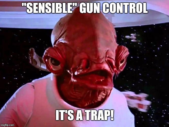 It's a trap! | "SENSIBLE" GUN CONTROL; IT'S A TRAP! | image tagged in admiral ackbar,its a trap,gun control | made w/ Imgflip meme maker