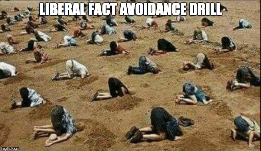 That's Not True! | LIBERAL FACT AVOIDANCE DRILL | image tagged in liberals,libtards,college liberal | made w/ Imgflip meme maker
