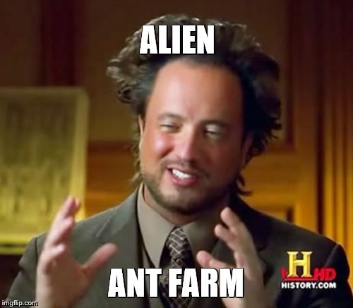Ancient Aliens Meme | ALIEN ANT FARM | image tagged in memes,ancient aliens | made w/ Imgflip meme maker