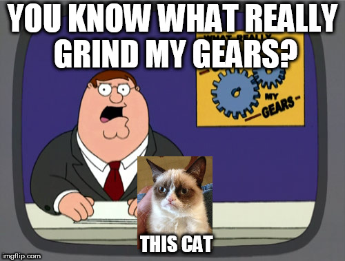 Peter Griffin News Meme | YOU KNOW WHAT REALLY GRIND MY GEARS? THIS CAT | image tagged in memes,peter griffin news | made w/ Imgflip meme maker