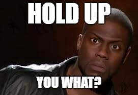 Kevin Hart Meme | HOLD UP; YOU WHAT? | image tagged in memes,kevin hart the hell | made w/ Imgflip meme maker