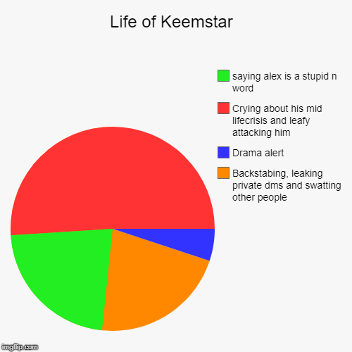 Life of Keemstar  | Backstabing, leaking private dms and swatting other people , Drama alert , Crying about his mid lifecrisis and leafy att | image tagged in funny,pie charts | made w/ Imgflip chart maker