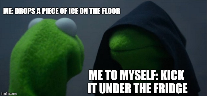 Evil Kermit | ME: DROPS A PIECE OF ICE ON THE FLOOR; ME TO MYSELF: KICK IT UNDER THE FRIDGE | image tagged in memes,evil kermit | made w/ Imgflip meme maker