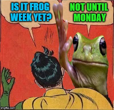 Approaching... Frog Week June 4-10, a JBmemegeek & giveuahint event! | NOT UNTIL MONDAY; IS IT FROG WEEK YET? | image tagged in frog slapping robin,memes,frog week,jbmemegeek,giveuahint | made w/ Imgflip meme maker