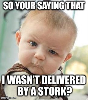 Confused Baby | SO YOUR SAYING THAT; I WASN’T DELIVERED BY A STORK? | image tagged in confused baby | made w/ Imgflip meme maker