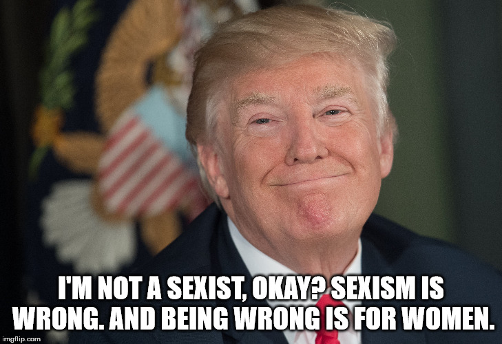 I'M NOT A SEXIST, OKAY? SEXISM IS WRONG. AND BEING WRONG IS FOR WOMEN. | image tagged in sexism | made w/ Imgflip meme maker