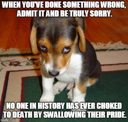 Bad Puppy | WHEN YOU'VE DONE SOMETHING WRONG, ADMIT IT AND BE TRULY SORRY. NO ONE IN HISTORY HAS EVER CHOKED TO DEATH BY SWALLOWING THEIR PRIDE. | image tagged in sad puppy,bad puppy | made w/ Imgflip meme maker