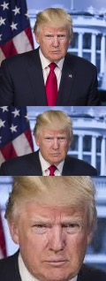 High Quality Trump terrible shame Blank Meme Template