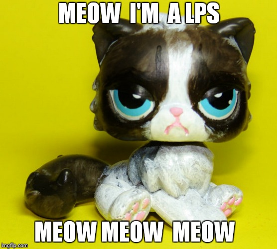 Grumpy LPS | MEOW  I'M  A LPS; MEOW MEOW  MEOW | image tagged in grumpy lps | made w/ Imgflip meme maker