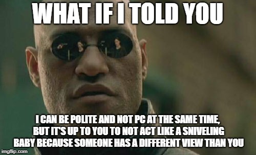 Matrix Morpheus Meme | WHAT IF I TOLD YOU I CAN BE POLITE AND NOT PC AT THE SAME TIME, BUT IT'S UP TO YOU TO NOT ACT LIKE A SNIVELING BABY BECAUSE SOMEONE HAS A DI | image tagged in memes,matrix morpheus | made w/ Imgflip meme maker