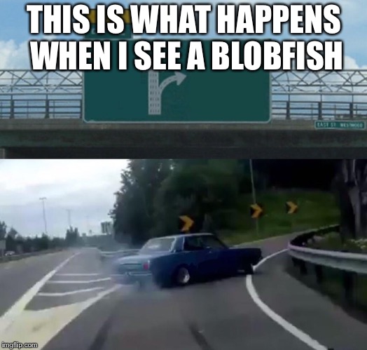 Blobfish Meme | THIS IS WHAT HAPPENS WHEN I SEE A BLOBFISH | image tagged in memes,left exit 12 off ramp | made w/ Imgflip meme maker