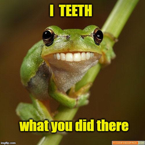 I  TEETH what you did there | made w/ Imgflip meme maker