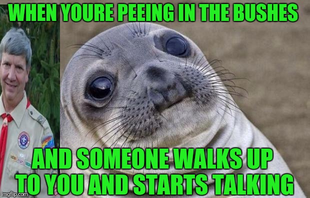 Awkward Moment Sealion Meme | WHEN YOURE PEEING IN THE BUSHES; AND SOMEONE WALKS UP TO YOU AND STARTS TALKING | image tagged in memes,awkward moment sealion | made w/ Imgflip meme maker