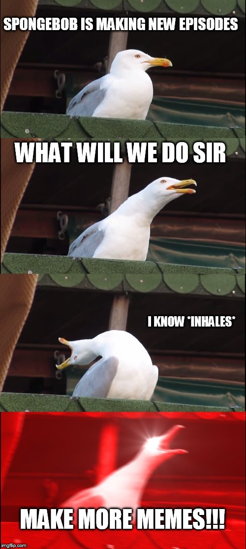 Inhaling Seagull | SPONGEBOB IS MAKING NEW EPISODES; WHAT WILL WE DO SIR; I KNOW *INHALES*; MAKE MORE MEMES!!! | image tagged in memes,inhaling seagull | made w/ Imgflip meme maker
