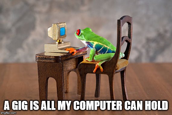 A GIG IS ALL MY COMPUTER CAN HOLD | made w/ Imgflip meme maker