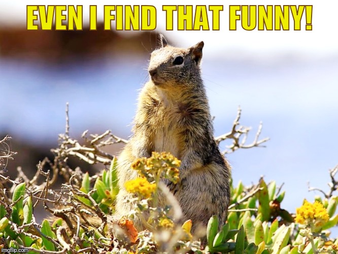 EVEN I FIND THAT FUNNY! | made w/ Imgflip meme maker
